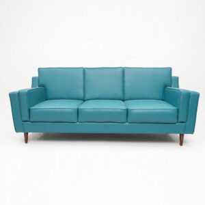 Sanjay Sofa